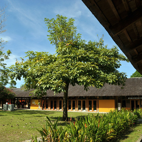 Bibliotecas sede Amazonía